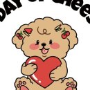 하루치즈 이미지