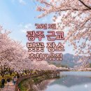 한수제 일원 | 26년 3월 광주광역시 근교 벚꽃 장소 추천모음집 및 개화시기 정리