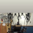 지앤미헤어뱅크 이미지