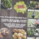 대구농산물생산자영농조합법인