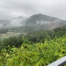 세화부동산 공인중개사사무소 이미지