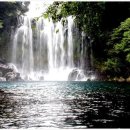 천제연폭포 이미지