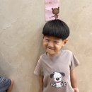 21세기맑은약국 네이버블로그