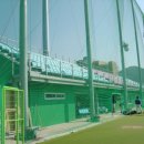 남해스포츠파크 야구장 이미지