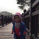 청송길 이미지