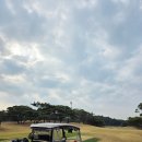 대구cc 벚꽃보며 골프 친 생생후기를 담아보았습니다.