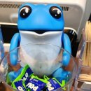 독도참치앤전복 이미지