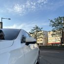 곰승마 손세차장 이미지