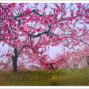 이천농원 이미지