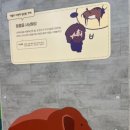달서선사관 이미지