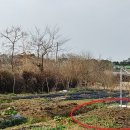 수재농장 이미지