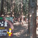 전북자판기종합