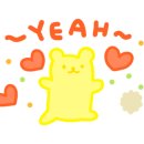 엘가안경 이미지