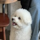 눅커피바 이미지