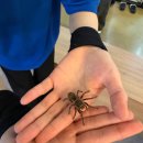 마리앤쥬 이미지