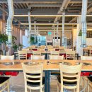 힘찬유황오리 이미지