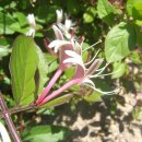 수로부인길 이미지