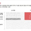다담기술개발 이미지