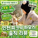 피크닉하우스 | [인천 가볼만한곳] 피크닉하우스 솔직후기｜가족, 연인, 아이와 가기 좋은 식물원 카페 (feat. 실외...