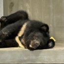 대발농장 이미지