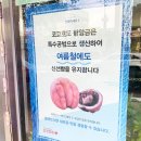 코코호도(작전점)