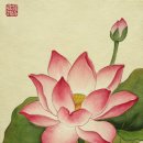 선데이민화
