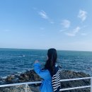 디원카페 - 기장군 일광로 326 | 디원카페