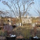 서울식물원 이미지