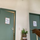 디어터틀(dear turtle) 이미지