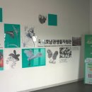 우리나라 멸종위기 야생동물 이해하기 | 전남 목포 아이와 함께 배우는 국립호남권생물자원관 상설전시 가볼만한곳