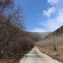 마이유기질비료 이미지