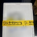 금성종합수산 이미지