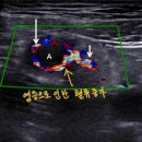 세브란스내과의원 이미지
