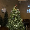 경성고등학교 | 레이어드 바스크치즈케이크 맛집 연남카페 그루비 내돈내산 추천메뉴