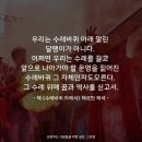 수레바퀴 이미지