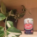 여명약국 | 음주전후 건강에 좋은 발명특허음료, 마셔보면 알겠죠?