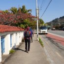 소룡배수펌프장 이미지