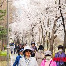 양재천 (연인의거리) 이미지