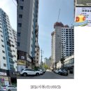 진성투토펠리체 이미지