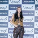 다미 이미지