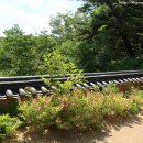 박산정(博山亭) 이미지