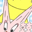 호호