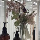 배울네거리 이미지