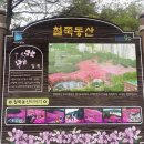 양지-3560 이미지