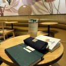 일광 당구장 | 02月13日-02月19日 | 곤지암 요양 일주일