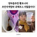 양파즙추천 황토나라 무안자색양파 과채주스 리얼즙이다!