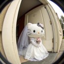 마이 달리아 | W2. 청주 메리다 상담 및 계약 후기(달리아홀 계약_제휴사 리스트 공유)