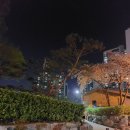 데이롱카페 성내삼성점
