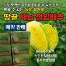 수농장 네이버블로그