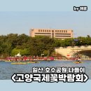 복싱번짐 | 2026 고양국제꽃박람회 가격, 주차, 포토존, 수상꽃자전거 내돈내산 후기